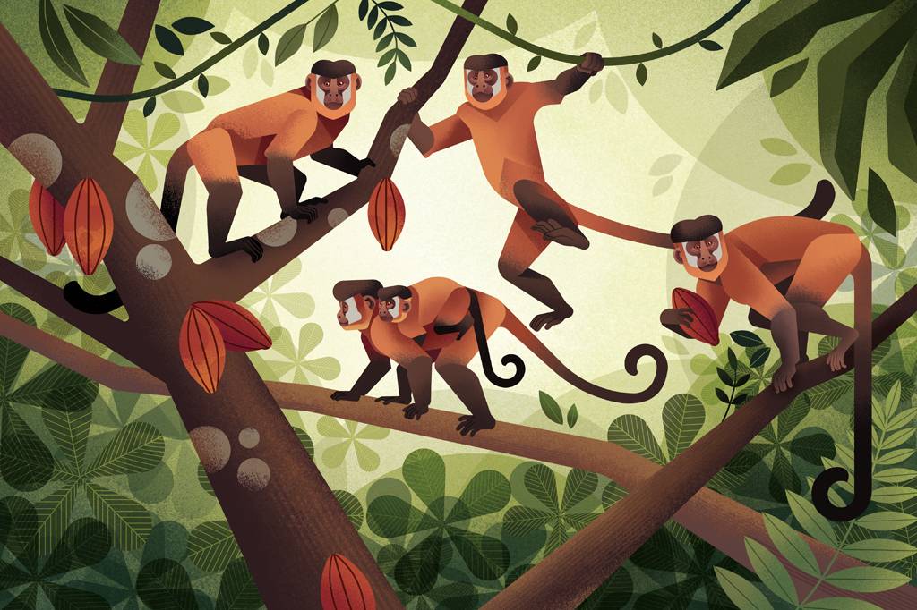 A cultura dos macacos-pregos
