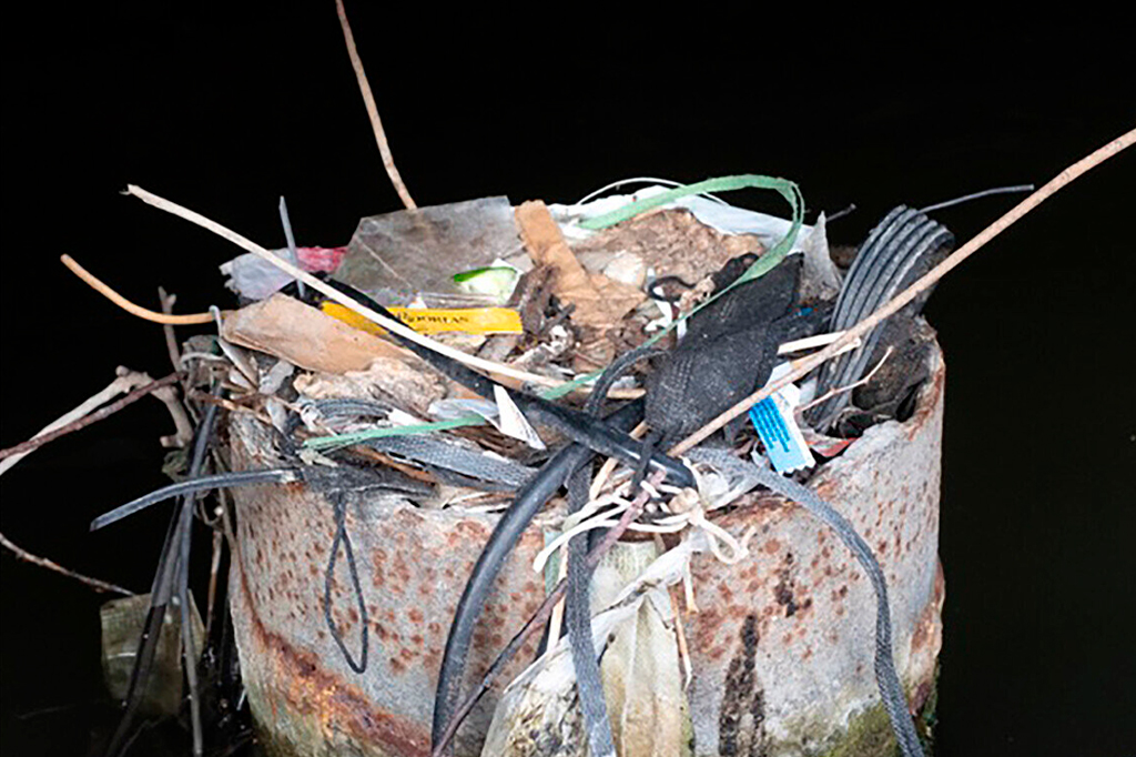 0604-passaros-layout_site1 Fotografia do lixo do ninho do galeirão.