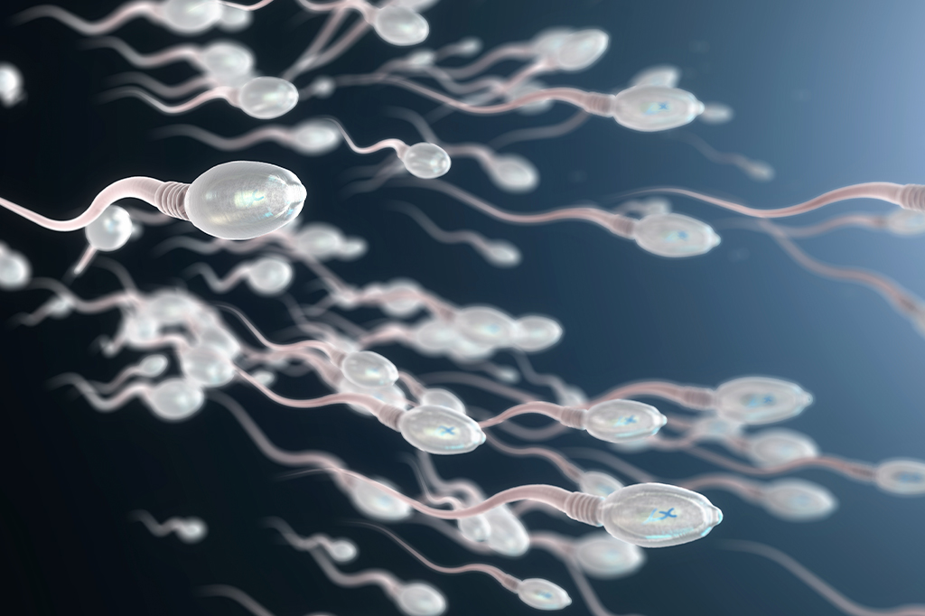 Anticoncepcional masculino sem hormônios é testado em humanos