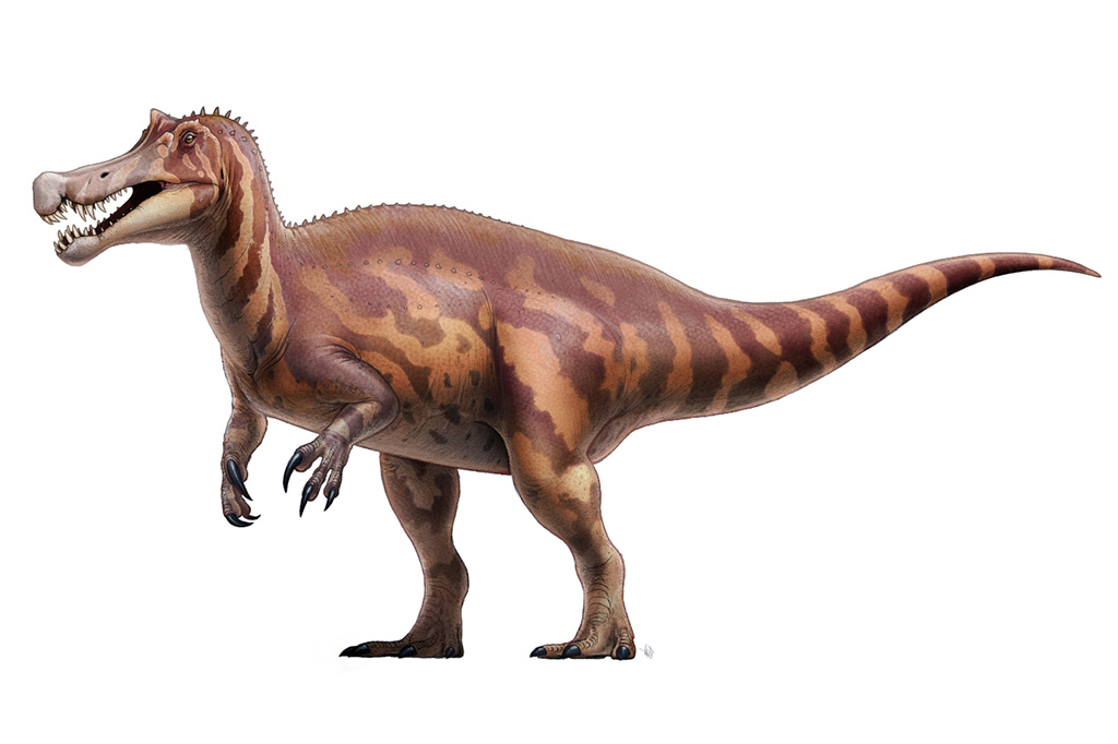 Campanha online pressiona Alemanha para repatriação de dinossauro brasileiro