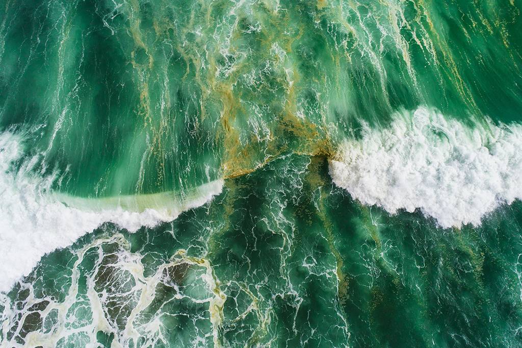 Os oceanos já foram verdes – e poderiam ser roxos, vermelhos ou marrons