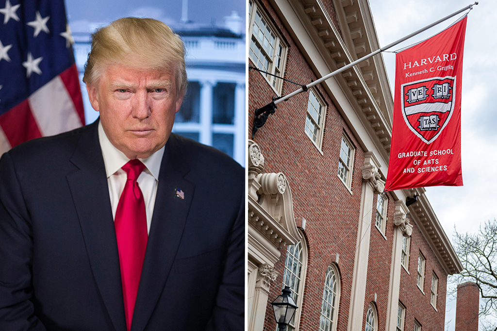 Entenda o conflito entre Trump e Harvard (e outras universidades americanas)