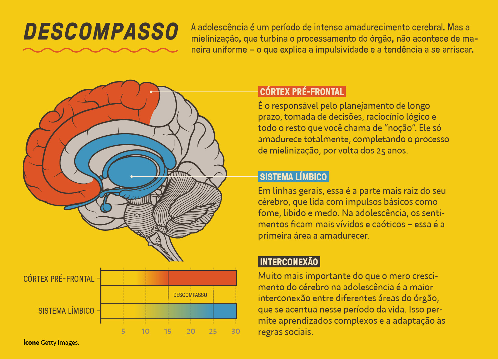 Gr&aacute;fico, em fundo amarelo, explicando as transforma&ccedil;&otilde;es do c&eacute;rebro na adolesc&ecirc;ncia.
