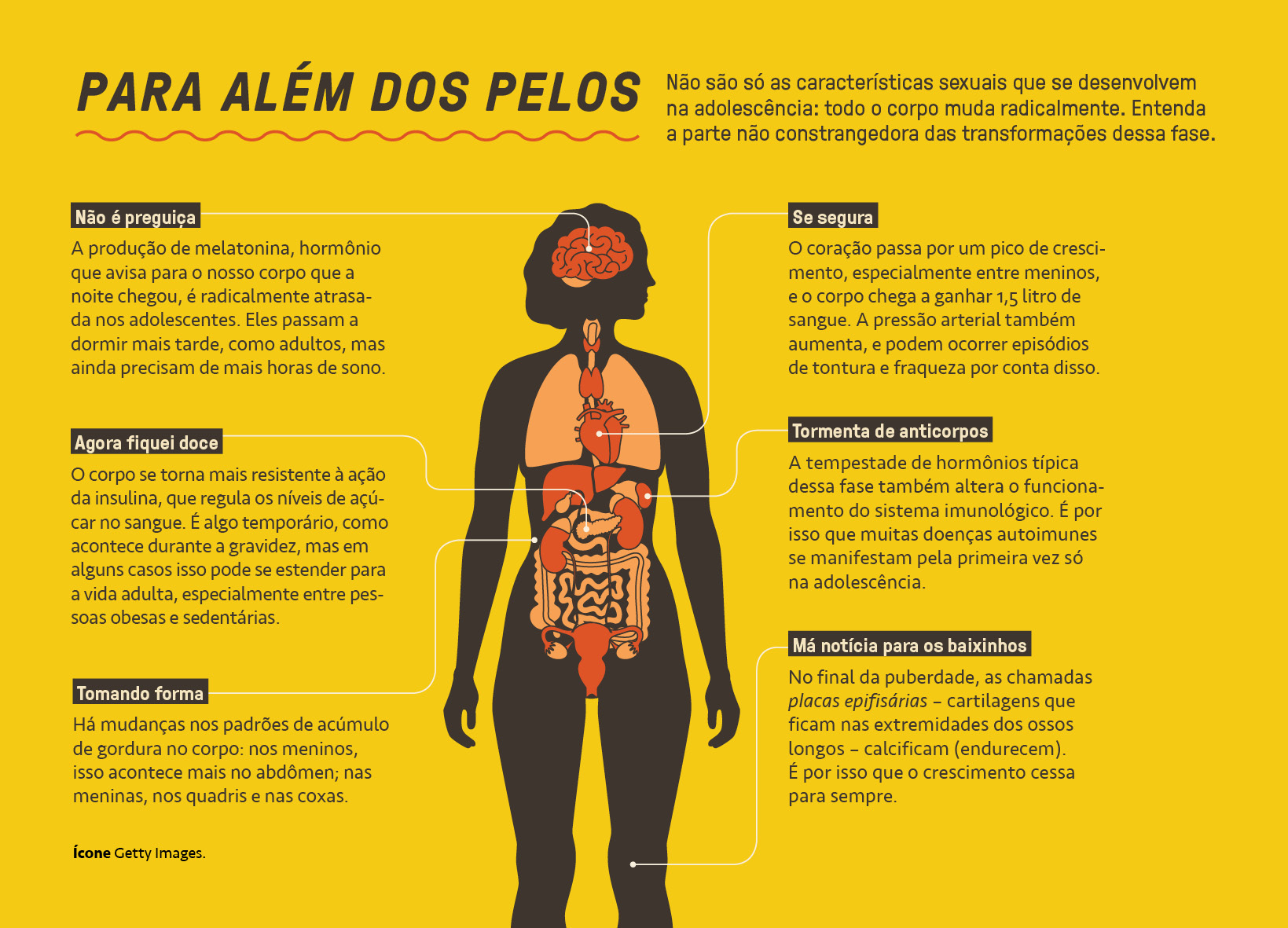 Gr&aacute;fico, em fundo amarelo, explicando a transforma&ccedil;&atilde;o do corpo na adolesc&ecirc;ncia.