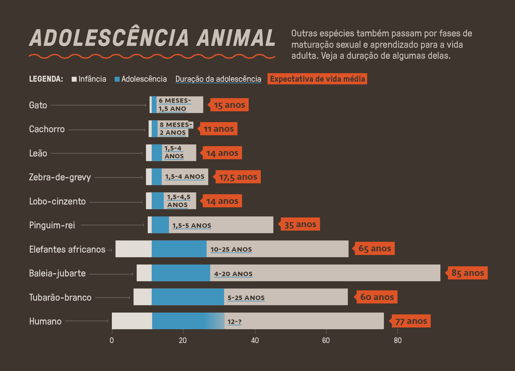 Gr&aacute;fico, em fundo cinza escuro, explicando o per&iacute;odo da adolesc&ecirc;ncia de outros animais.