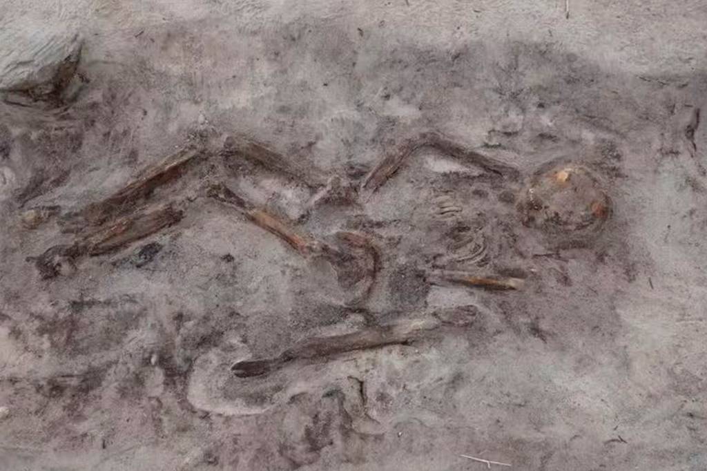 Túmulo de mulher viking enterrada com cachorro é encontrado por arqueólogos