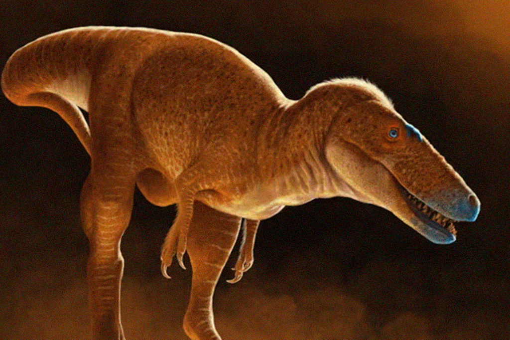 Príncipe Dragão da Mongólia: este fóssil preenche lacuna evolutiva do T-rex