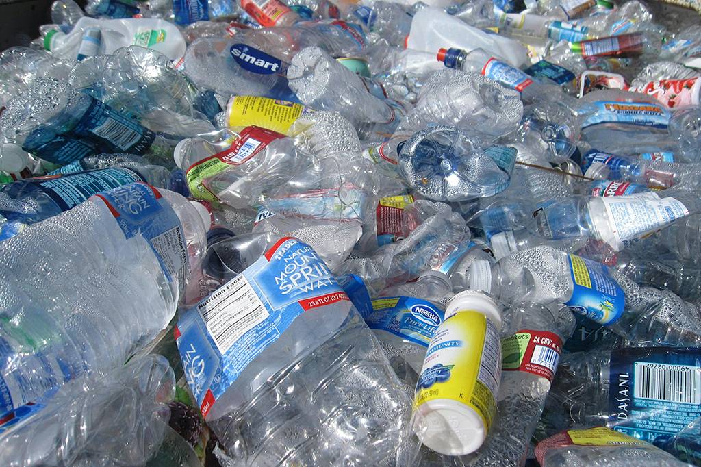 Cientistas usam bactéria modificada para transformar lixo plástico em paracetamol