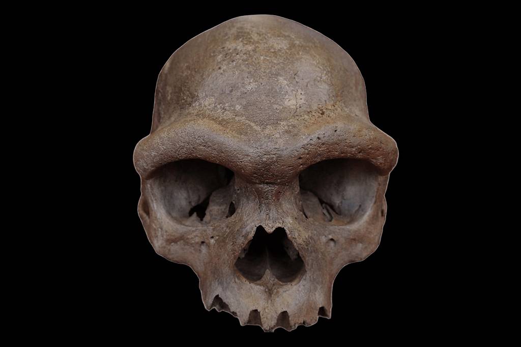 “Homem-dragão”: crânio revela aparência dos denisovanos, primos extintos dos humanos
