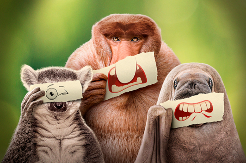 Documentário expõe os bichos com os comportamentos mais estranhos do reino animal