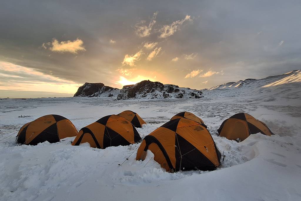 Cientistas brasileiros descrevem novas espécies de fungos na Antártica