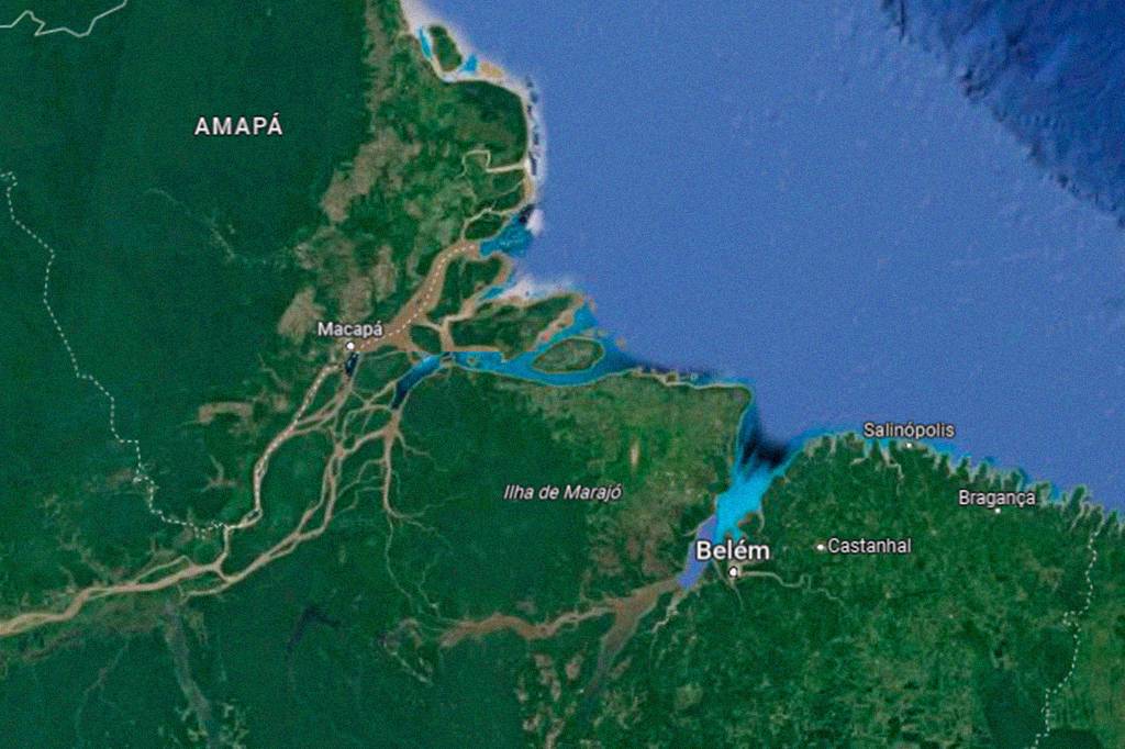 Exploração de petróleo na Foz do Amazonas é bomba para biodiversidade, alertam cientistas
