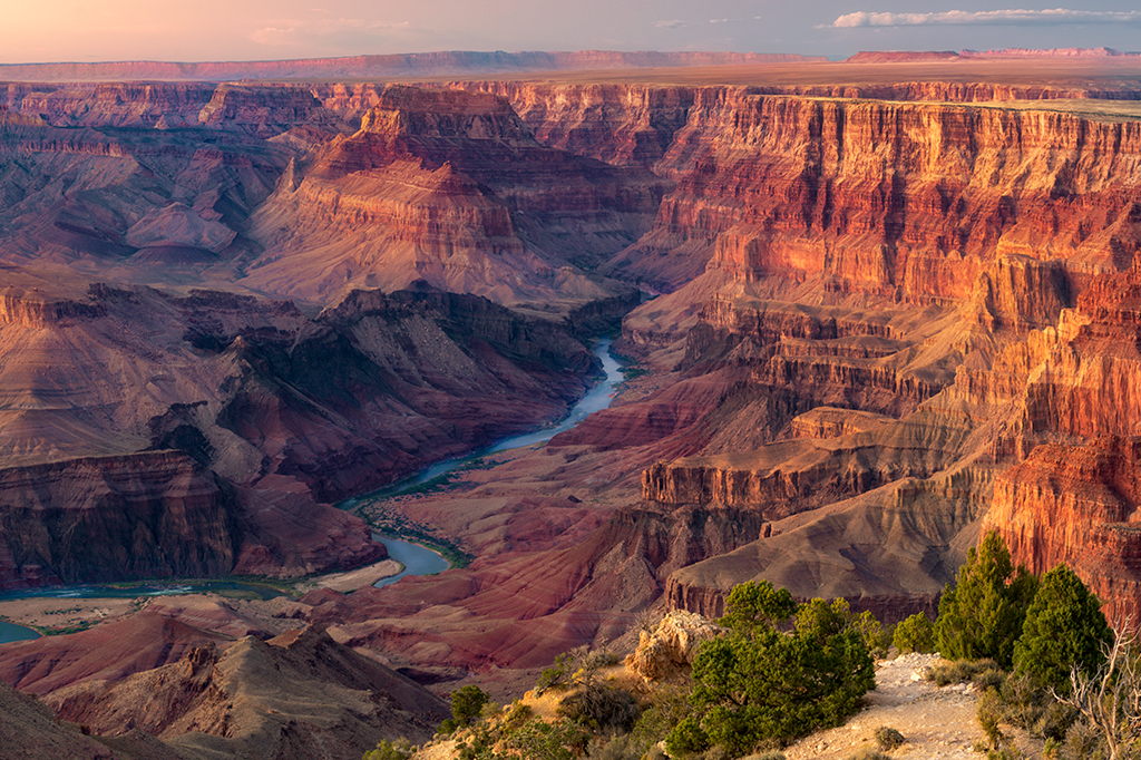 Fósseis de 500 milhões de anos do Grand Canyon ajudam a entender surgimento da vida complexa