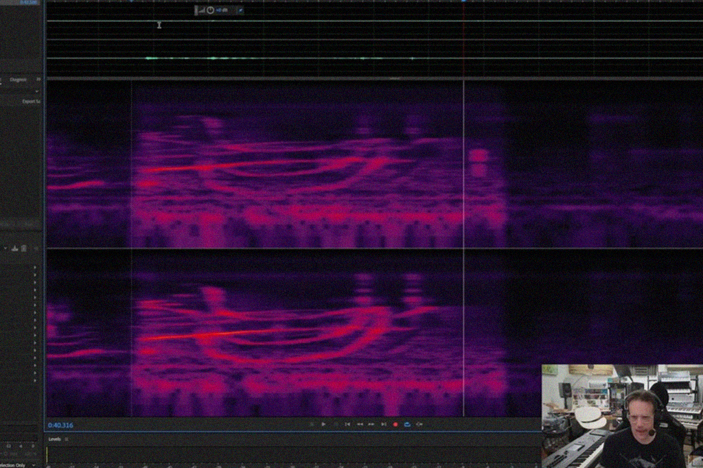 Imagem da grava&ccedil;&atilde;o do som de um p&aacute;ssaro.