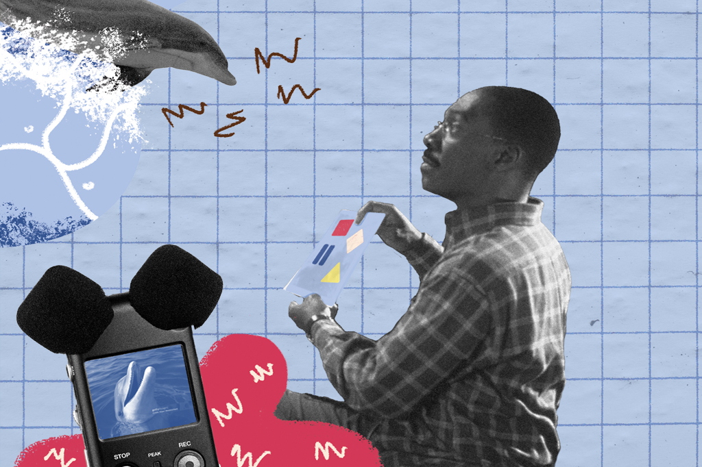 Colagem, em fundo azul e malha quadriculada, com um cientista conversando com um golfinho atrav&eacute;s de uma tabela de sinais.