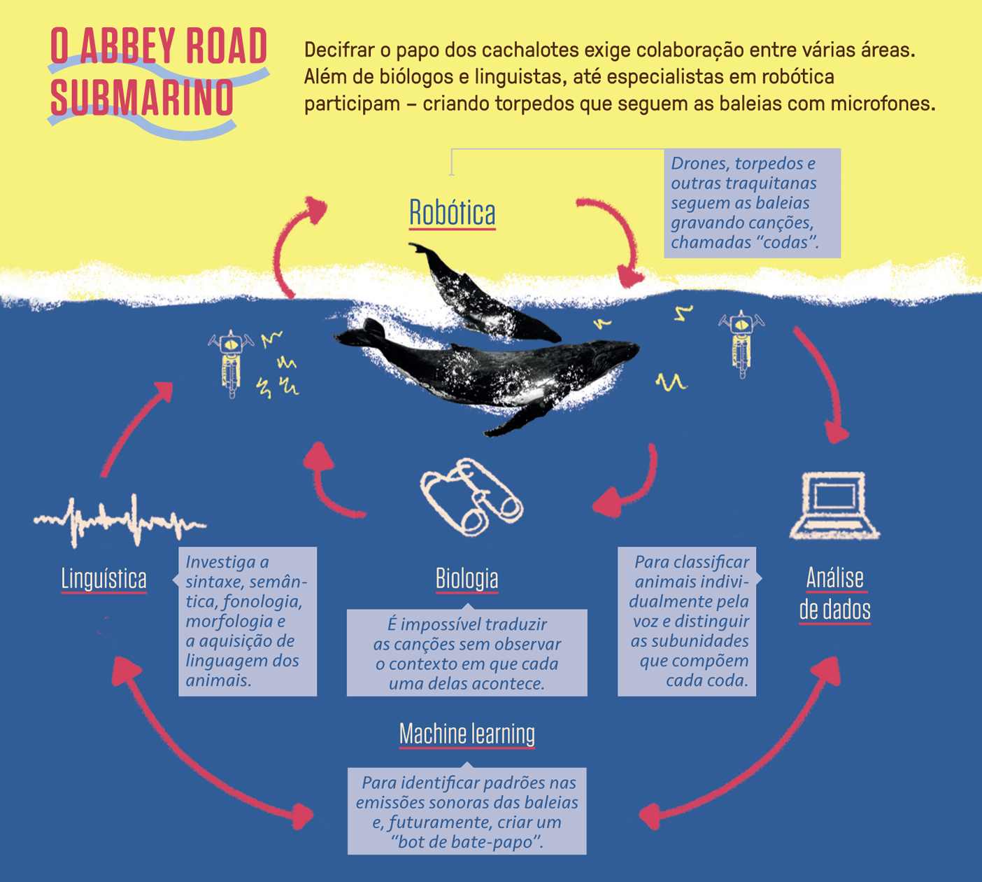 Infogr&aacute;fico explicando a capta&ccedil;&atilde;o e a an&aacute;lise de dados do sistema de comunica&ccedil;&atilde;o dos cet&aacute;ceos.