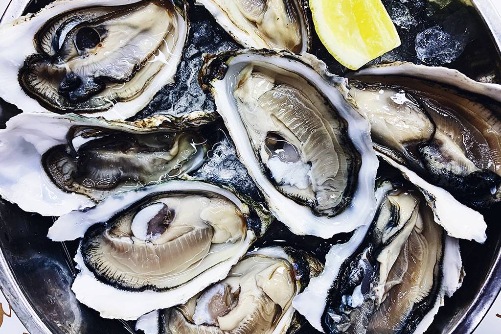 Cientistas encontram arsênio e superbactérias em ostras consumidas no Brasil