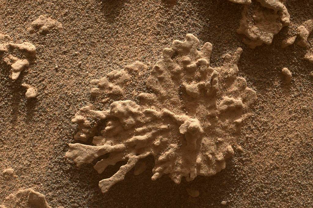 NASA encontrou um “coral” em Marte? Entenda