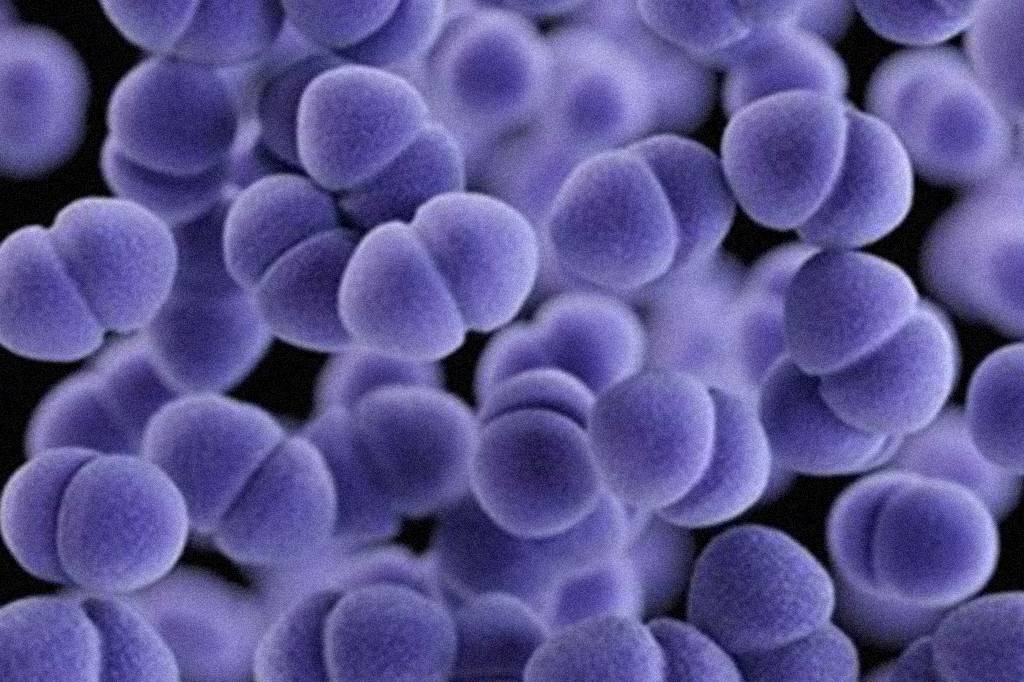 Gene mutante pode ser solução contra uma superbactéria de infecção hospitalar