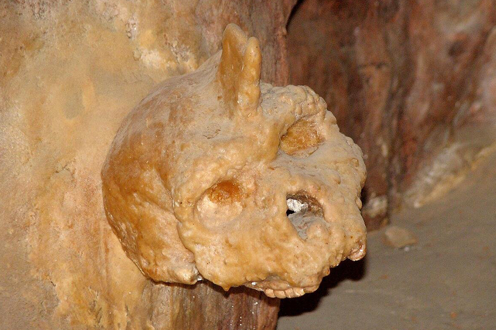 Crânio de Petralona: nova análise indica idade de misterioso fóssil grego