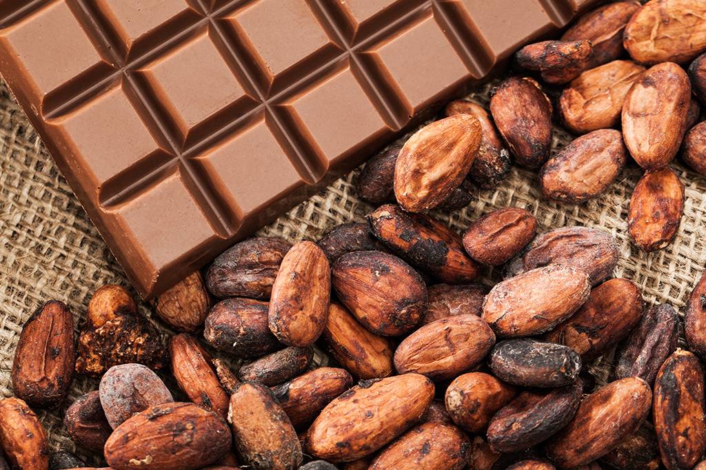 Novo estudo com microbiota do cacau pode possibilitar manipulação de sabor do chocolate