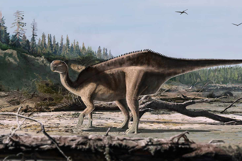 Nova espécie de dinossauro com “vela” nas costas é descoberta na Inglaterra