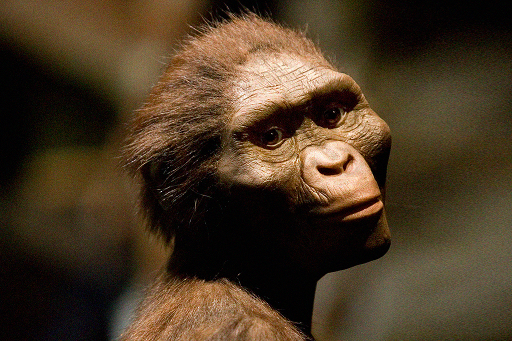 Fóssil de Lucy, de 3,18 milhões de anos, sai da Etiópia para exibição inédita