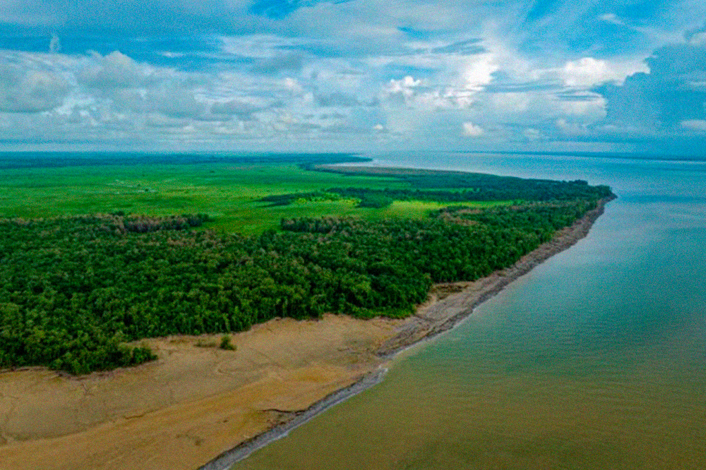 Novo mapeamento com Inteligência Artificial ajudará a prevenir desmatamento na Amazônia