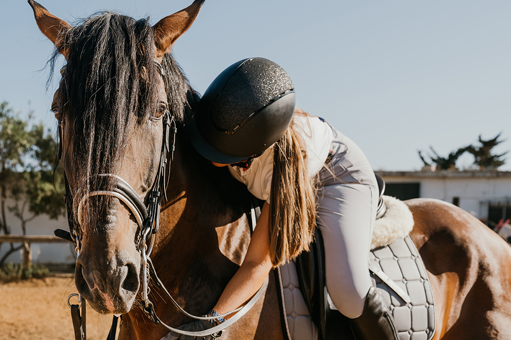 Cavalos podem ter se tornado montáveis graças a alterações genéticas