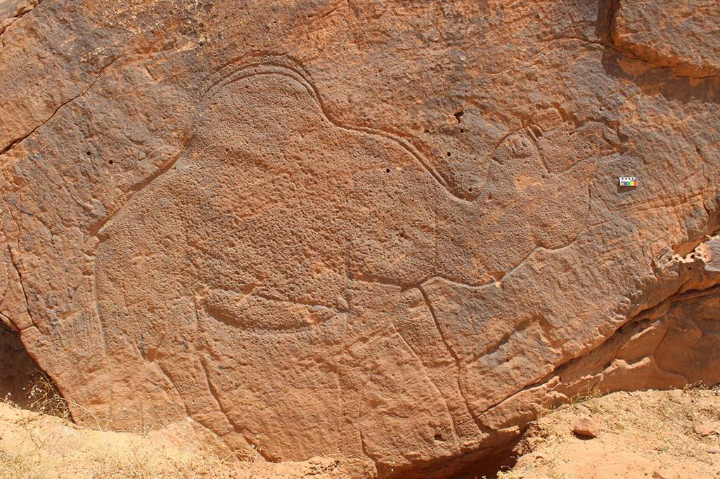 Gravuras de animais de 12 mil anos sinalizavam fontes de água no deserto árabe