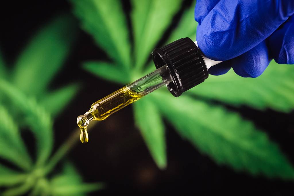 Extrato de cannabis mostra eficácia contra dor lombar crônica em estudo clínico