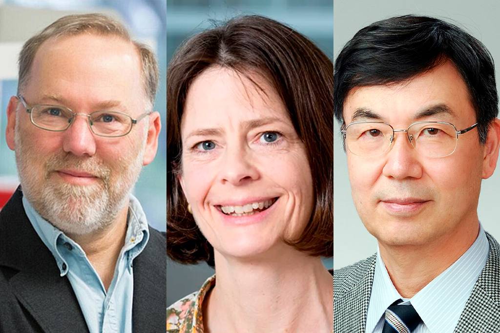 Por que o corpo não se destrói? Descoberta rende o Nobel de Medicina de 2025