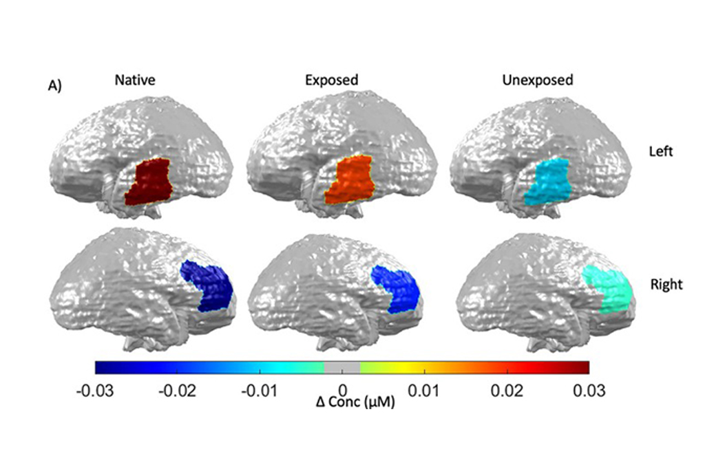 1110-Bebe-layout_site2