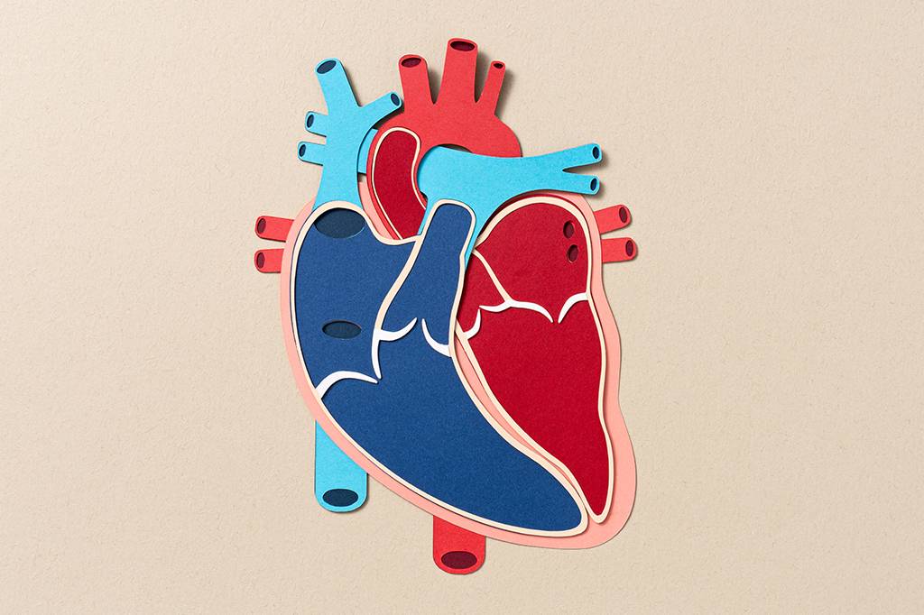 99% dos infartos são causados por um desses quatro fatores de risco, descobre estudo