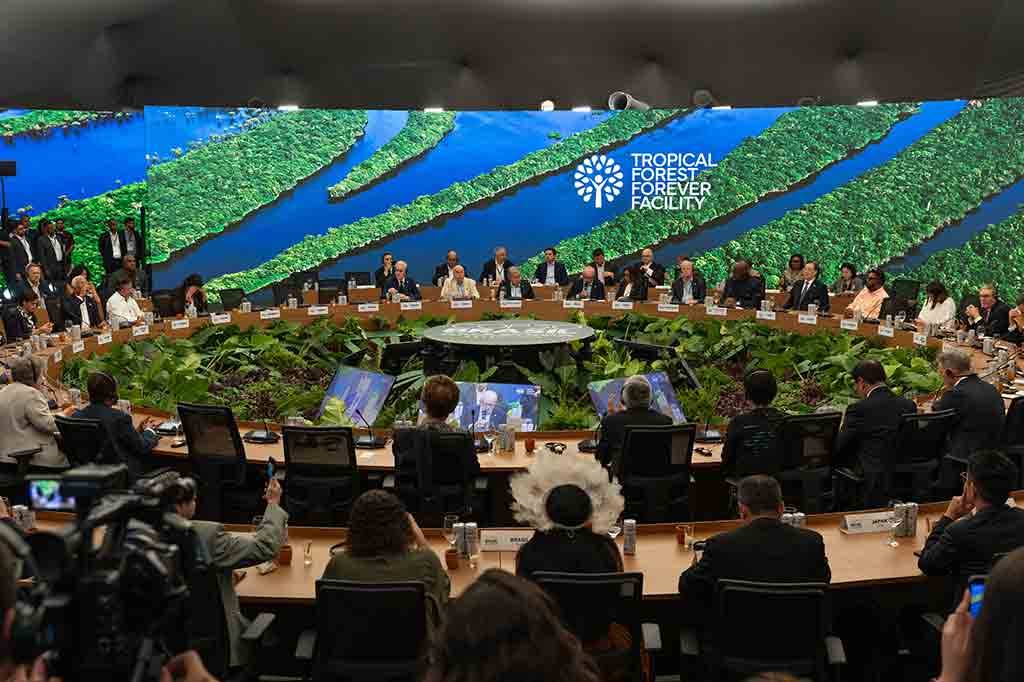 Como será usado o dinheiro do Fundo Florestas Tropicais para Sempre?