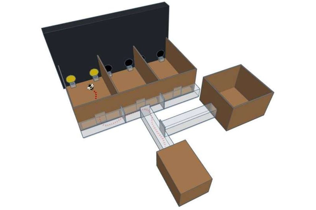 Modelo 3D do aparato experimental.