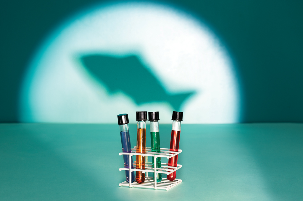 Imagem, de tom esverdeado, projetando a sombra de um peixe na parede. Em primeiro plano, v&ecirc;-se, quatro ampolas de vidro.