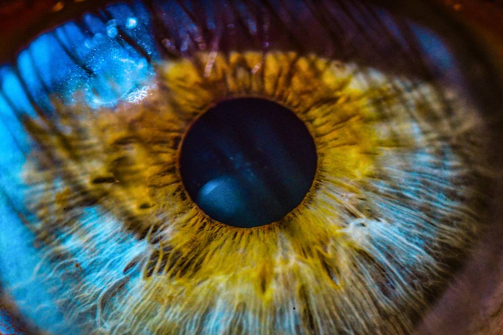 Sem óculos 3D: cientistas desenvolvem tela que simula profundidade rastreando o olhar