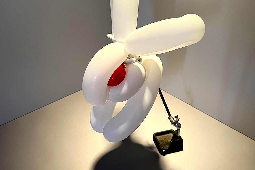 Fotografia da cabeça do coelho de balão que foi usado na capa.