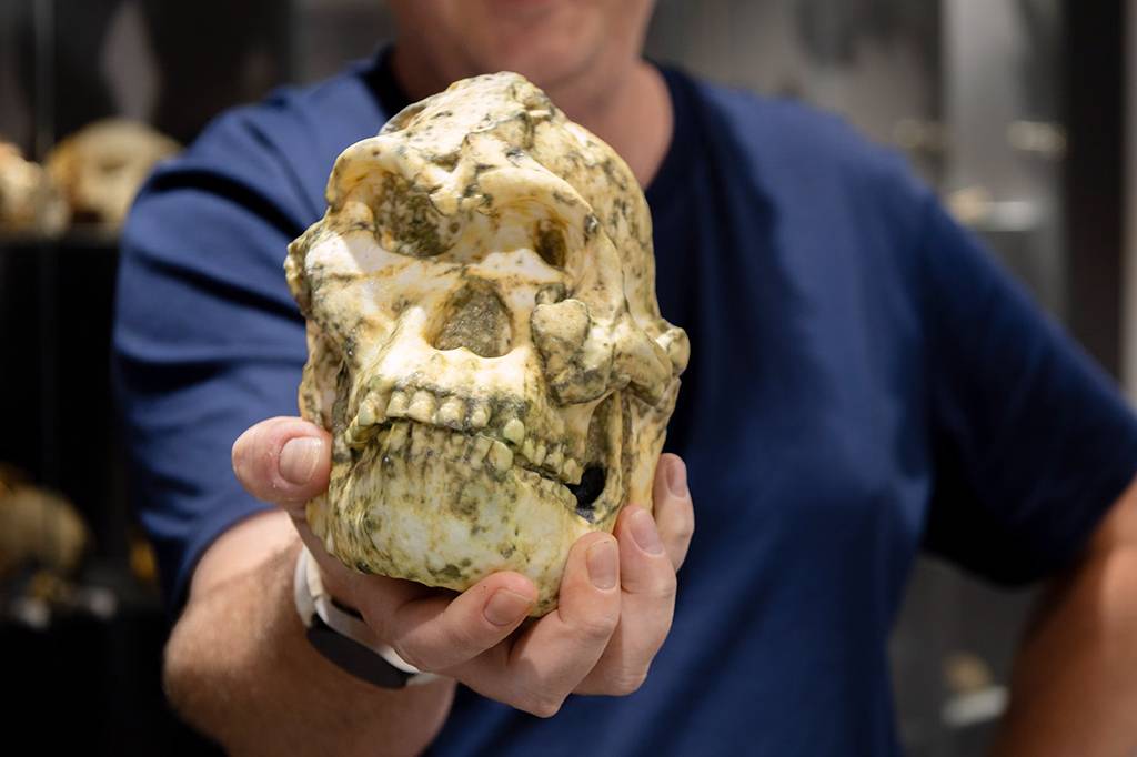 Fóssil “Pé Pequeno” pode ser nova espécie de hominídeo, sugere estudo