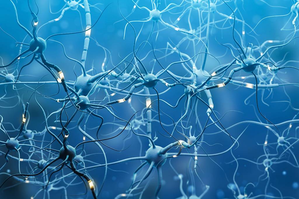 Seu cérebro para de se desenvolver aos 25 anos? A neurociência mostra que isso é um mito