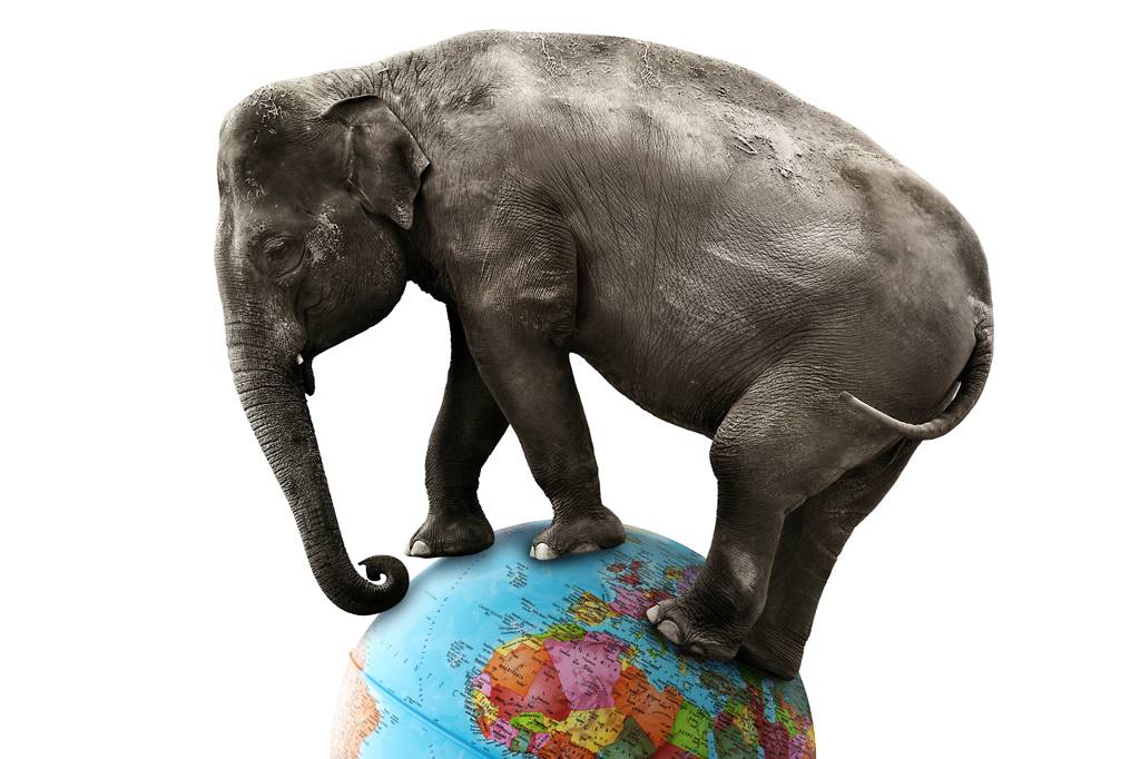 Qual mamífero causa mais peso na Terra, contando todos os indivíduos?