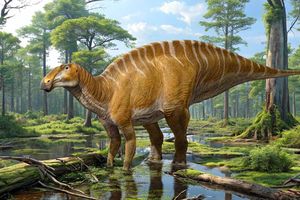 “Vaca do Cretáceo”: nova espécie de dinossauro herbívoro é identificada após quase um século