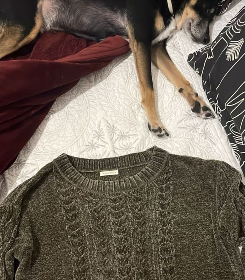Fotografia de uma blusa de l&atilde; ao lado do cachorro deitado chamado Deco.