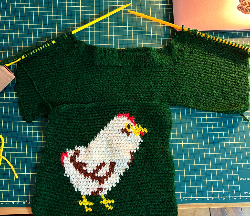 Fotografia da pe&ccedil;a do croch&ecirc; do desenho da galinha.