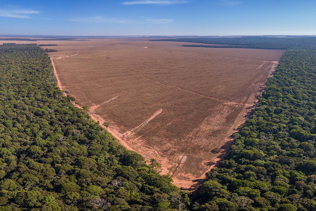 Desmatamento na Amazônia eleva temperatura em 3°C e altera o regime de chuvas, aponta estudo