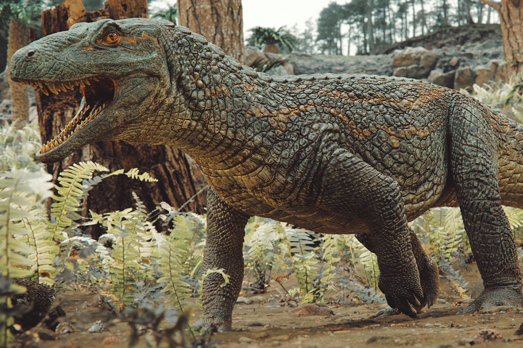 Ilustração artística de um Tainrakuasuchus bellator.