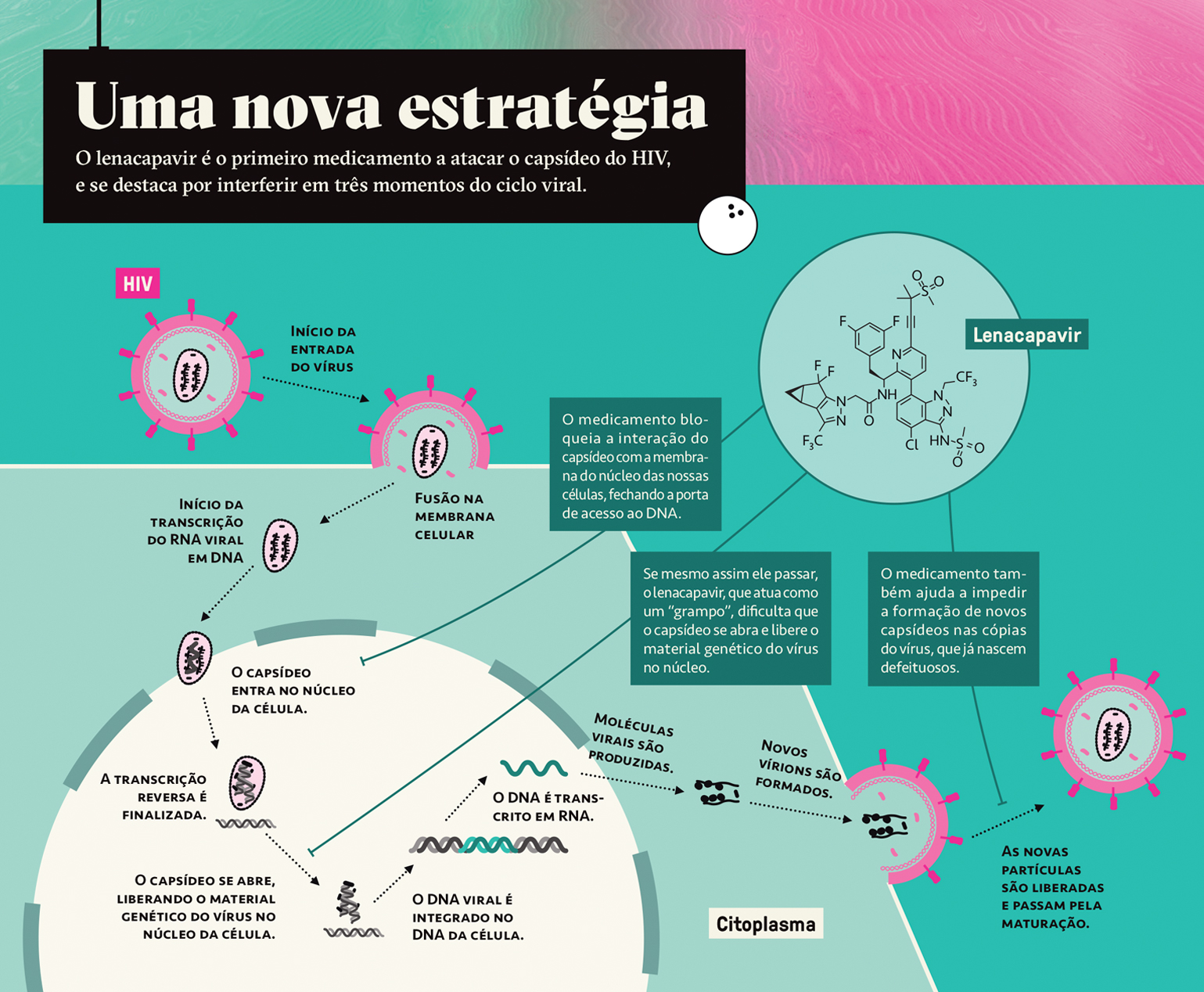 Infogr&aacute;fico, em fundo verde claro, com o sistema de a&ccedil;&atilde;o dos novos rem&eacute;dios contra o HIV.