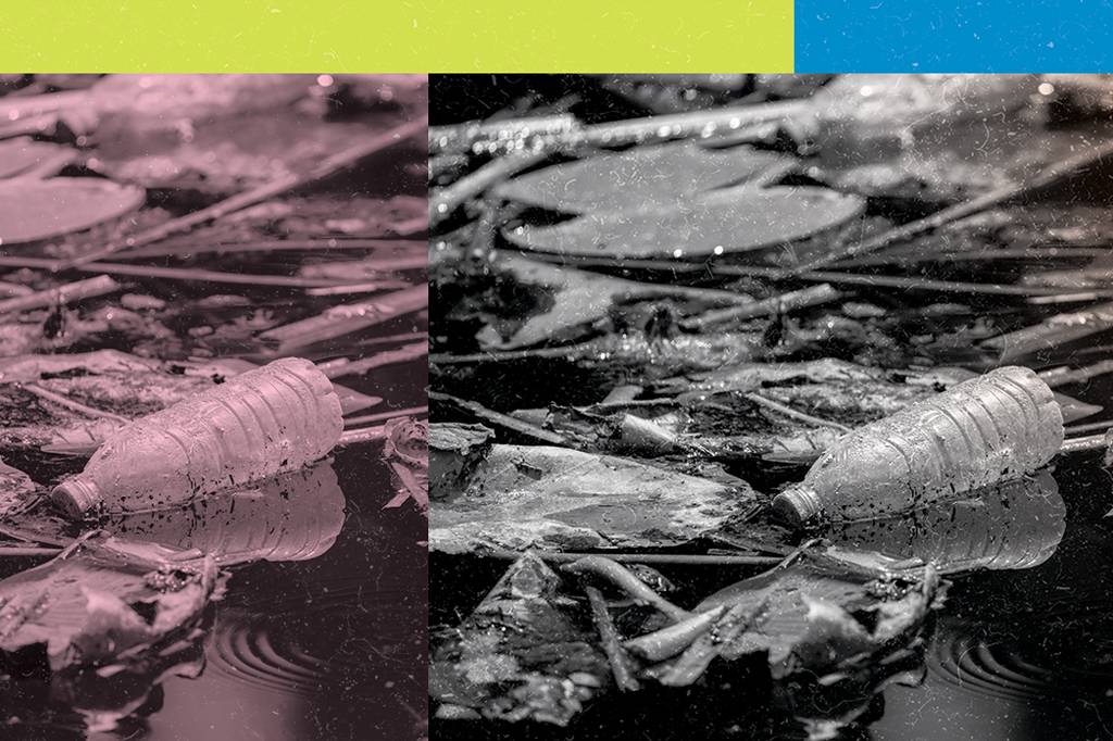 Metade dos ambientes aquáticos contém lixo