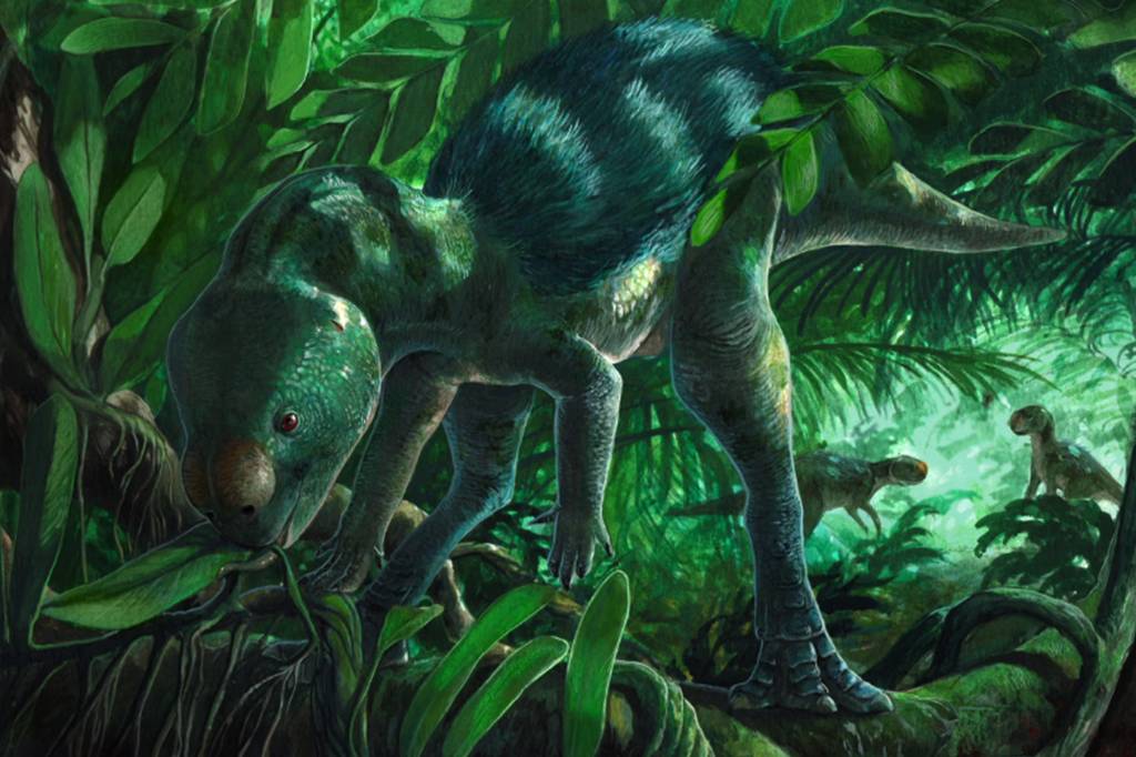 Dinossauro minúsculo descoberto na Espanha pode mudar o que se sabe sobre a evolução dos herbívoros